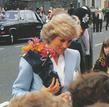 Princess Diana: The Queen of Hearts and Her Untold Story