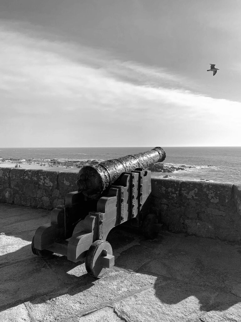 pexels rafael rodrigues 173187950 32289990