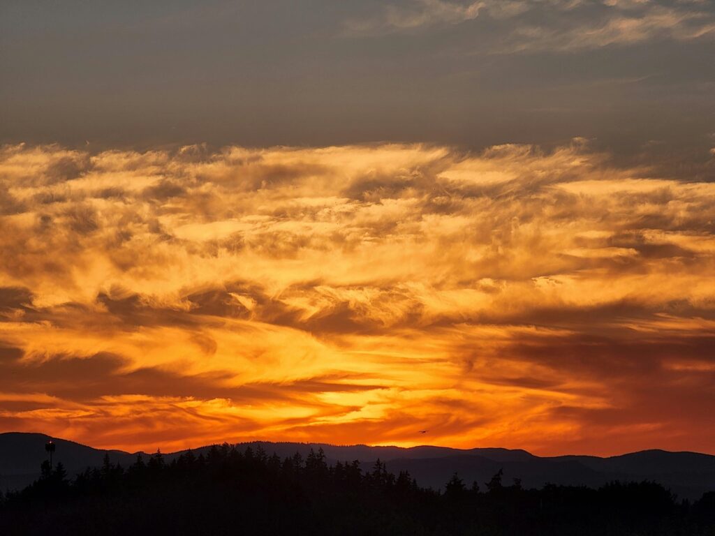 pexels satyclicks 12948170