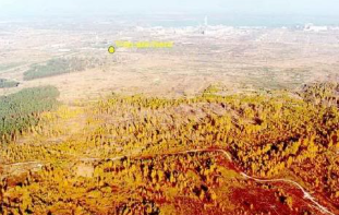 Red Forest highly radioactive area near Chernobyl