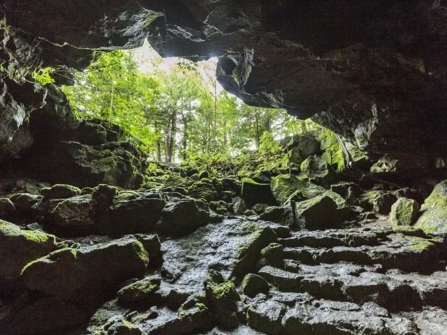 Volcanic lava terrain covered with moss inside Aokigahara Forest