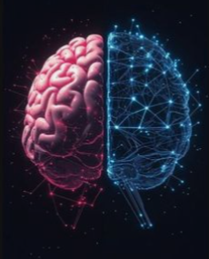 What is a psychopath brain illustration showing emotional processing differences