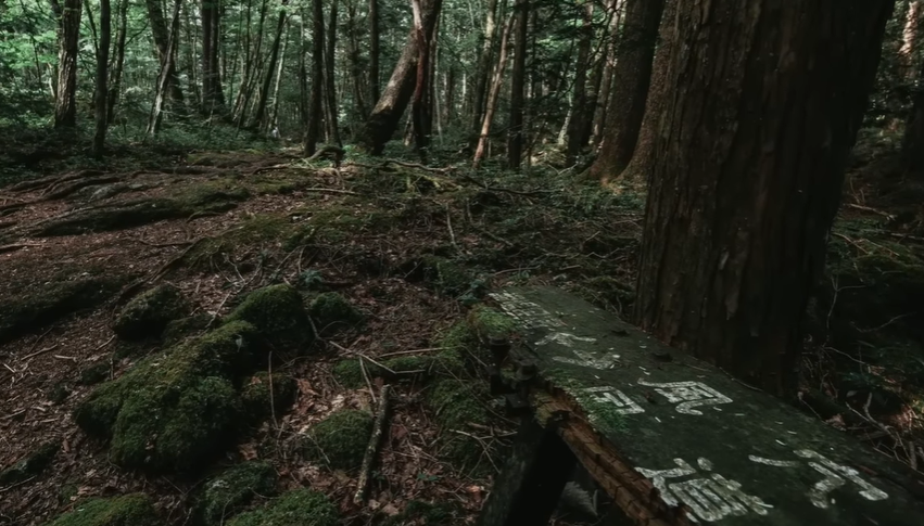 Ice cave and lava tube beneath Aokigahara Forest near Mount Fuji