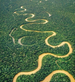 The Girl Who Survived a Plane Crash and Walked Out of the Amazon Jungle 5 A small jungle creek similar to the one the girl who survived a plane crash followed through the Amazon