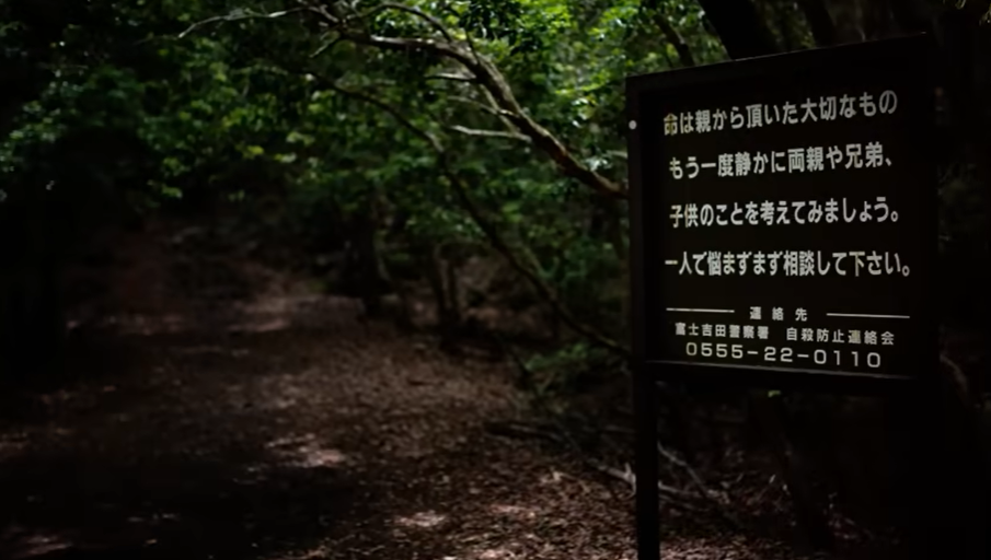 Mount Fuji volcanic lava plateau that formed Aokigahara Forest after the 864 CE Jogan eruption